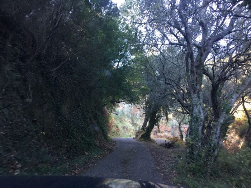 south-corfu-premium-4x4-villages-views-flavours