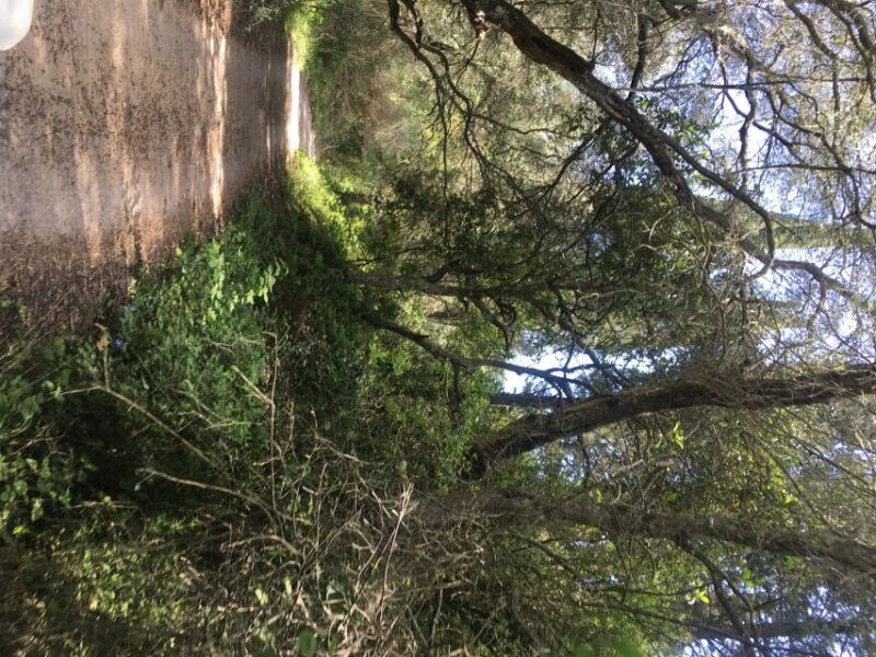 south-corfu-premium-4x4-villages-views-flavours