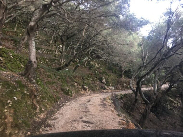 south-corfu-premium-4x4-villages-views-flavours
