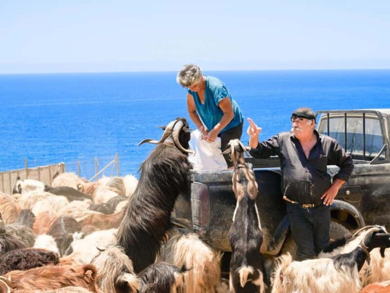 South Crete The Best Jeep Safari - Who Will Love This Experience?