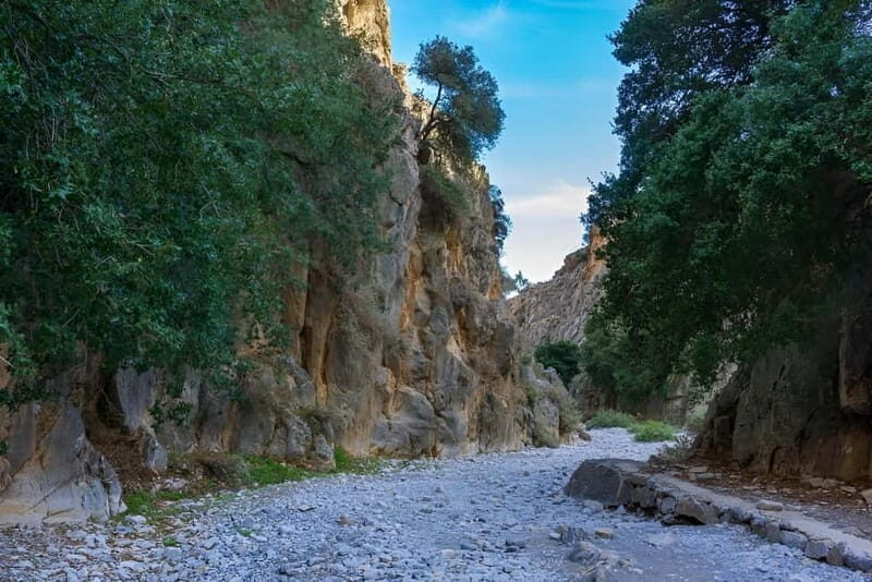South Crete Tour from Heraklion - An Authentic Day in South Crete: What to Expect