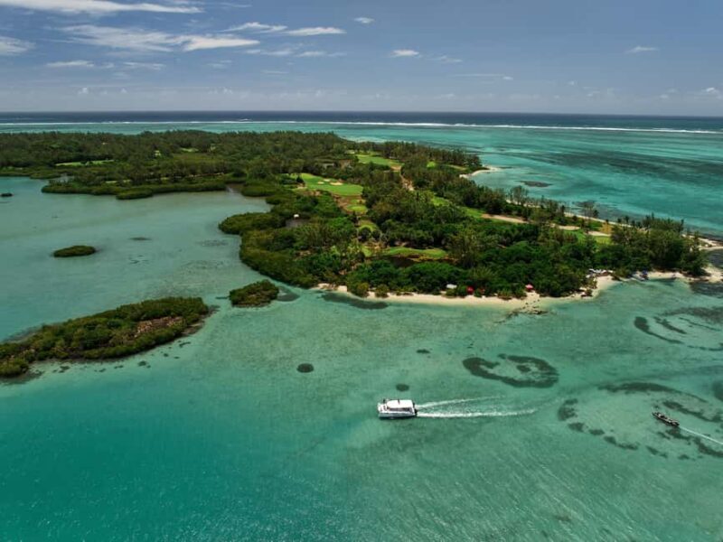 South East Lagoon Discovery - Power Catamaran - Why This Tour Offers Great Value