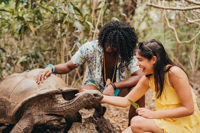 South East : OCÉANE Private Eco Tour to Ile aux Aigrettes - Who Should Book This Tour?