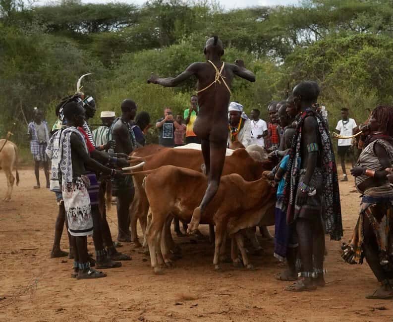 South Ethiopia Tribal Tour: 7 Days and 6 Nights - A Closer Look at the 7-Day Itinerary