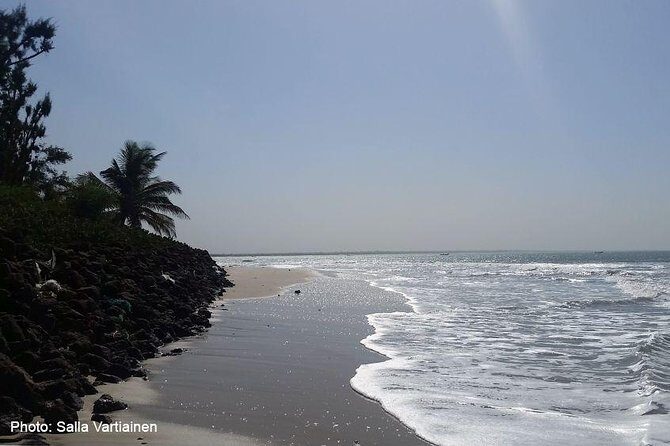 South Gambia Tour - Fishing village and Paradise Beach - Exploring South Gambia: Fishing Village and Paradise Beach Tour
