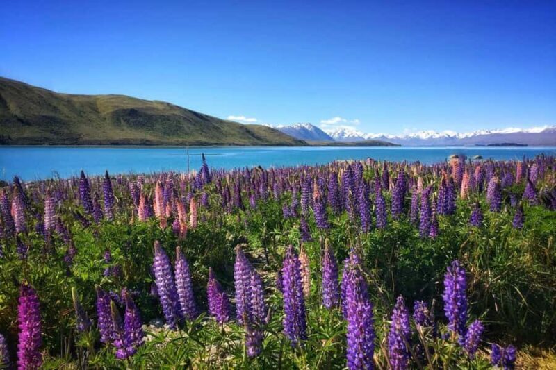 South Island Highlights: 9-Day New Zealand Adventure - An In-Depth Look at the South Island Highlights Tour