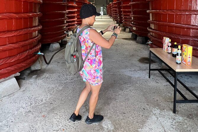 South Island Highlights Tour with Hon Thom Cable Car - Exploring the Itinerary in Detail