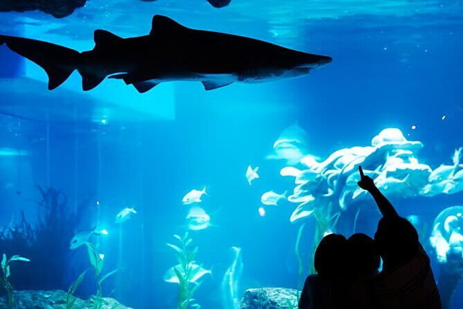 South Korea a Sea Life Busan - Key Points