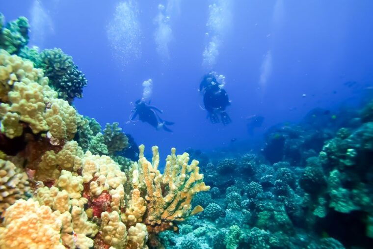south-maui-eco-friendly-molokini-and-turtle-town-tour