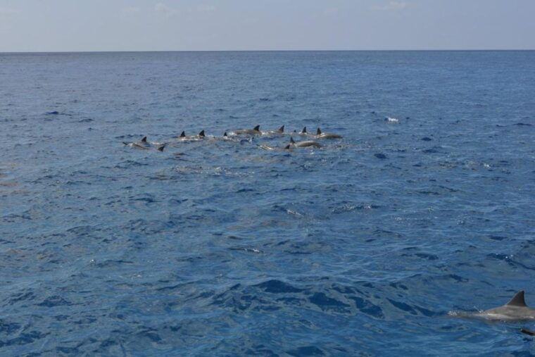 south-maui-maalaea-guided-luxury-snorkel-cruise