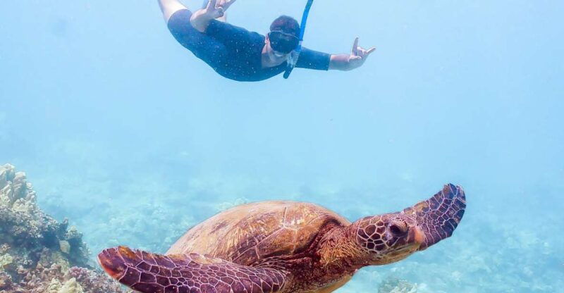 south-maui-molokini-snorkeling-adventure