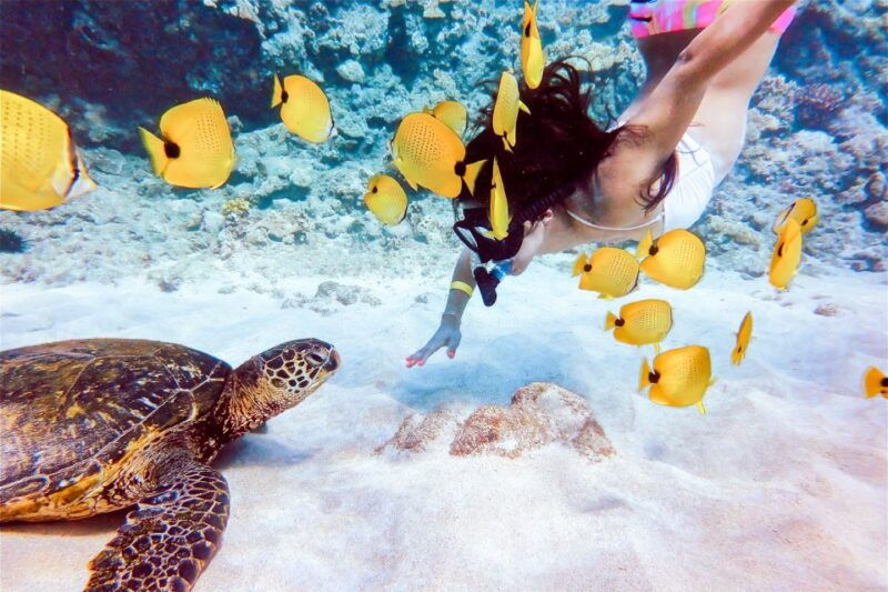 south-maui-molokini-snorkeling-adventure
