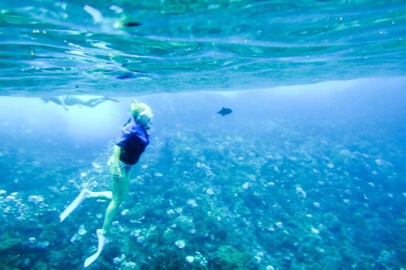 South Maui: Molokini Wild Eco Adventure from Maalaea Harbor - Value for Money