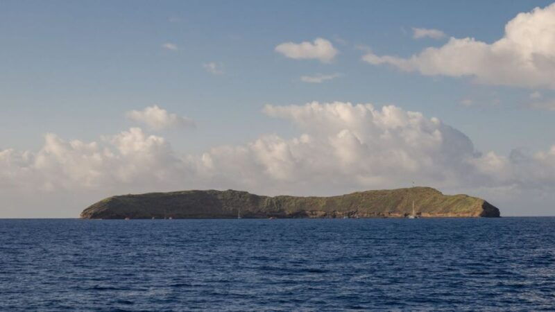 south-maui-pm-snorkel-to-coral-gardens-or-molokini-crater