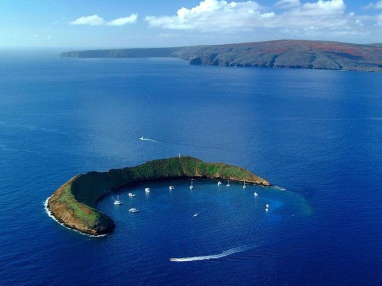south-maui-pm-snorkel-to-coral-gardens-or-molokini-crater