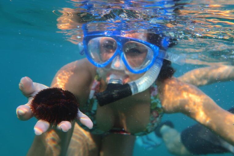 south-maui-premium-turtle-town-kayak-and-snorkel-tour