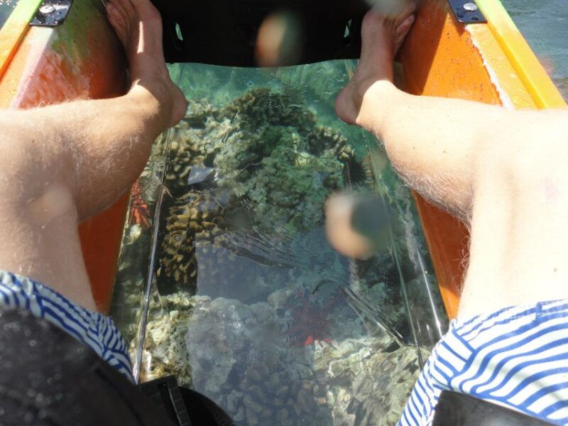 south-maui-self-guided-clear-bottom-kayak-tour