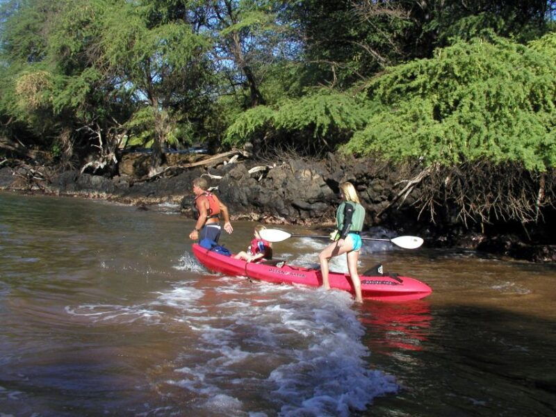 south-maui-whale-watch-kayaking-and-snorkel-tour-in-kihei