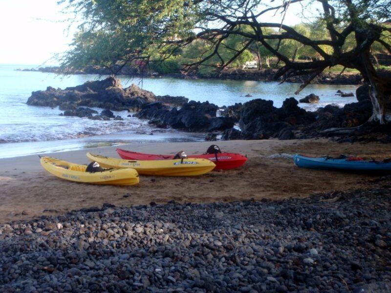 south-maui-whale-watch-kayaking-and-snorkel-tour-in-kihei