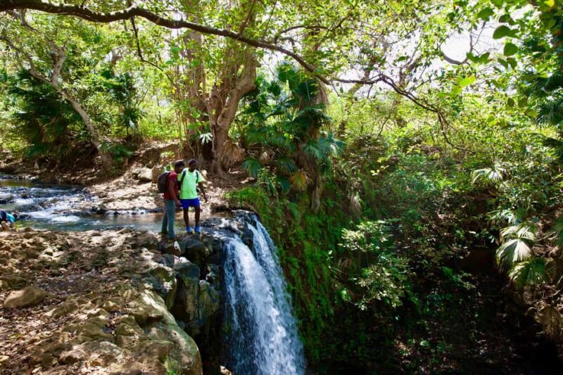 South Mauritius: Easy cliff& jungle hike to hidden waterfall - Starting Point: Gris Gris Viewpoint