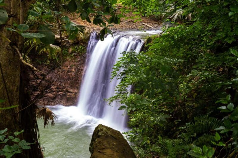 South Mauritius: Easy cliff& jungle hike to hidden waterfall - What’s Included