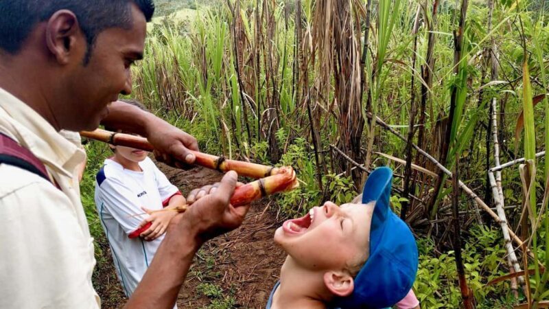 South Mauritius: Easy cliff& jungle hike to hidden waterfall - Meeting Point and Logistics