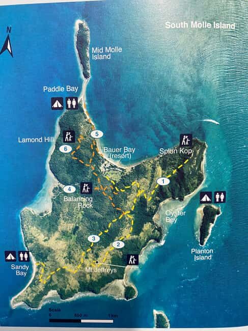 South Molle Island Self Guided Walking Tour - The Itinerary: What to Expect from the Day