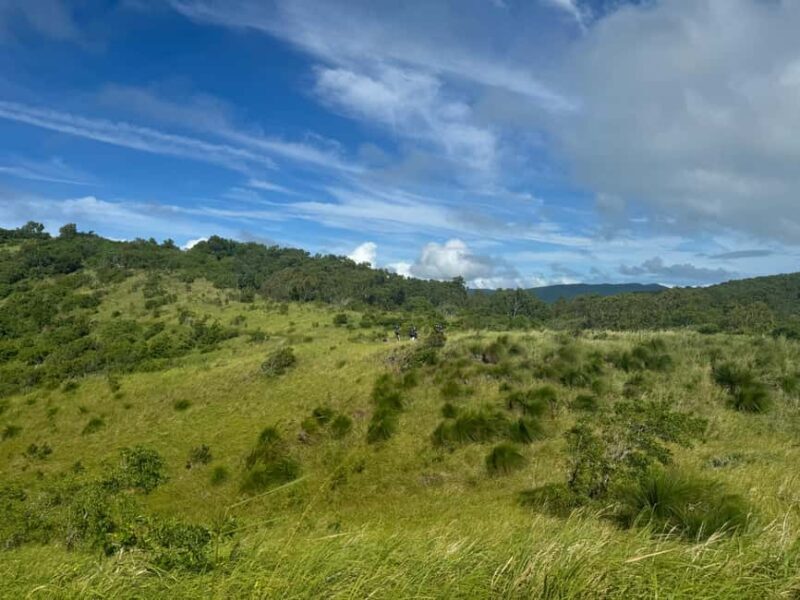 South Molle Island Self Guided Walking Tour - Authentic Experiences and Scenic Highlights