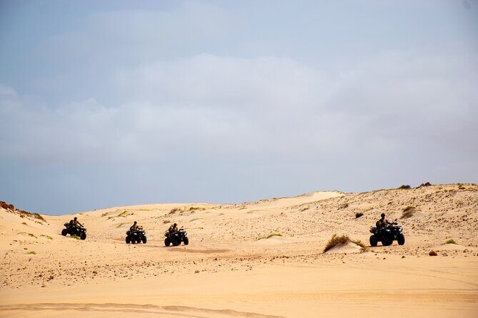 South of Boa Vista Adventure Explore the Desert by Quad - Price and Value Analysis