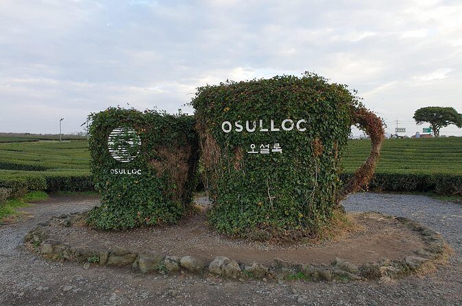 South of Jeju Island Package Tour in Alpaca Land - FAQ about the South of Jeju Island Package Tour