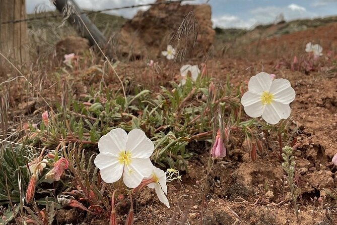 south-pass-city-historical-tour