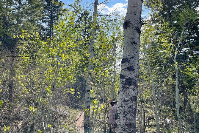 south-pass-city-historical-tour