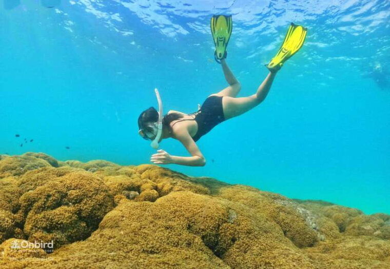 south-phu-quoc-pro-snorkeling-tour-by-speedboat