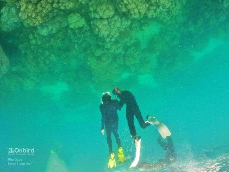 south-phu-quoc-pro-snorkeling-tour-by-speedboat