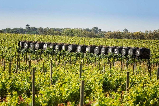 south-portugal-wine-route-private-full-day-tour-from-lisbon