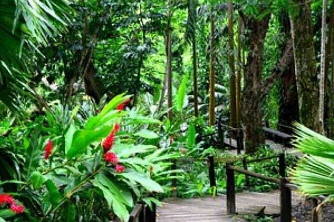 South Sea Island Half Day with Lunch & Drinks - Frequently Asked Questions