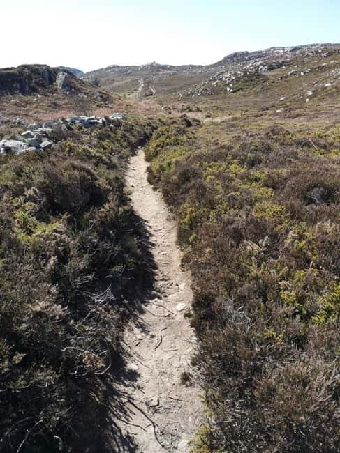 South Stack: Coastal Walking Tour with Café & History - Key Points