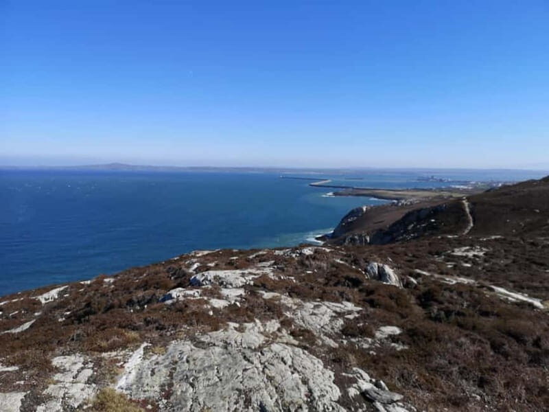 South Stack: Coastal Walking Tour with Café & History - What to Expect from the Tour