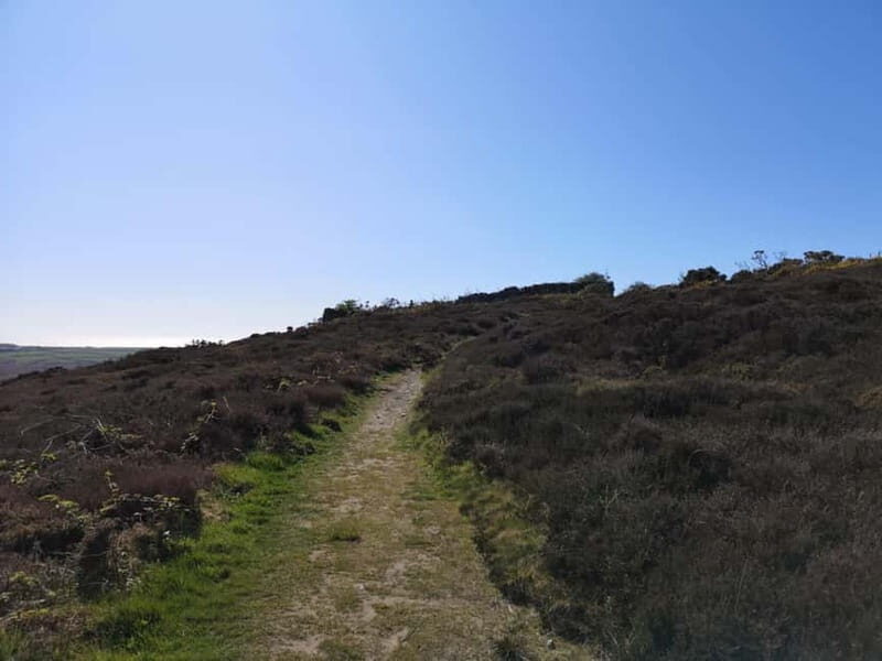 South Stack: Coastal Walking Tour with Café & History - Practical Details and Value