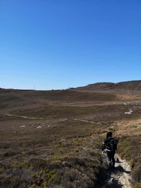 South Stack: Coastal Walking Tour with Café & History - Who Is This Tour Perfect For?