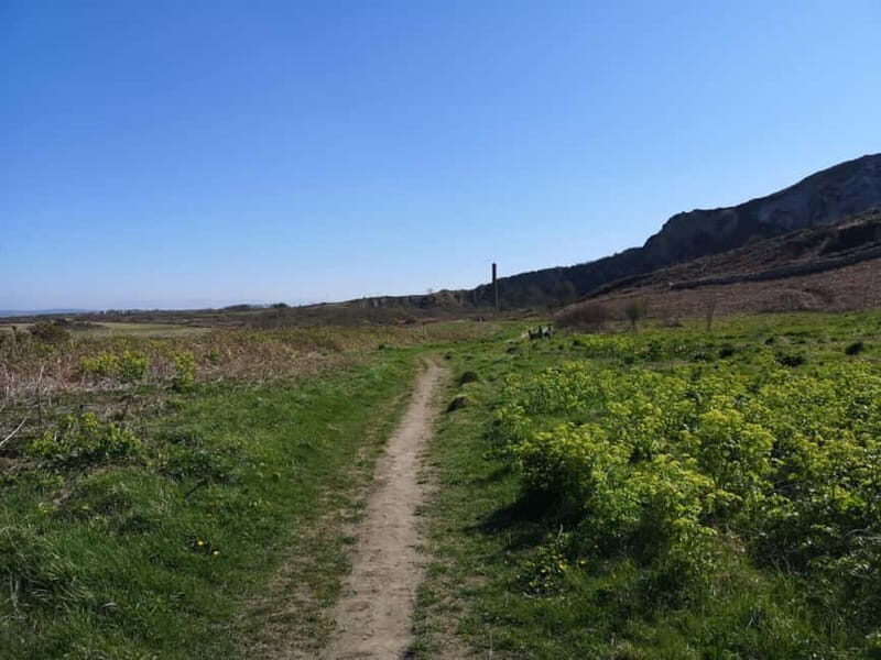 South Stack: Coastal Walking Tour with Café & History - Final Thoughts
