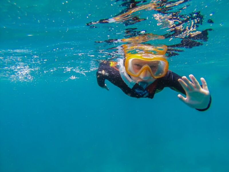 south-tenerife-guided-snorkeling