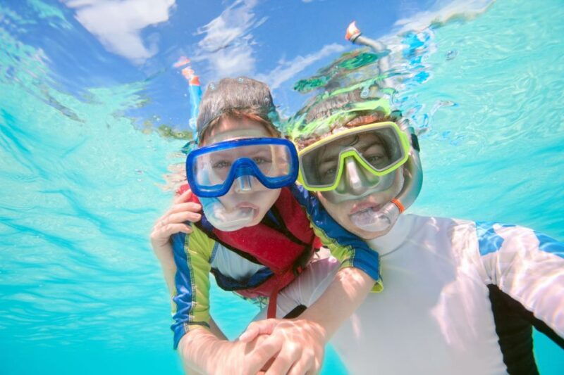 south-tenerife-guided-snorkeling