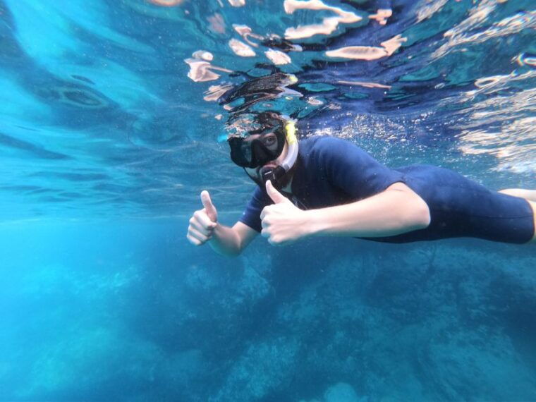 south-tenerife-guided-snorkeling
