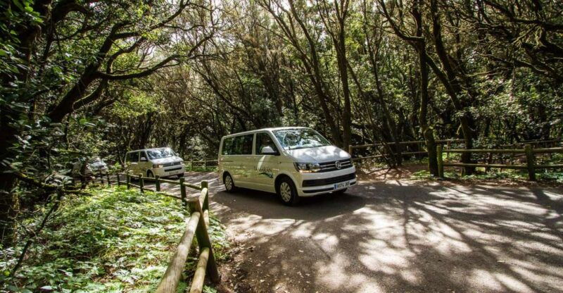 south-tenerife-san-cristobal-de-la-laguna-and-anaga-tour