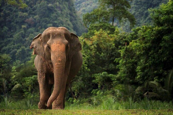 South Thailand: Riding The Coastline of Dreams (12 Day Tour) - Who Is This Tour Best Suited For?