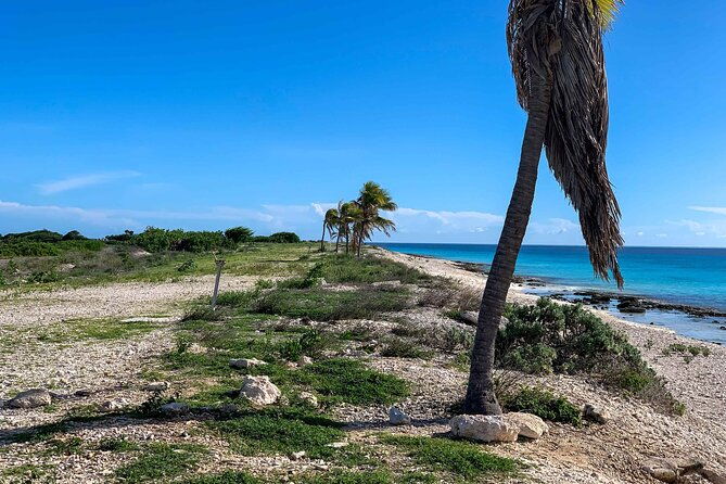 south-tour-bonaire-on-a-electric-bike