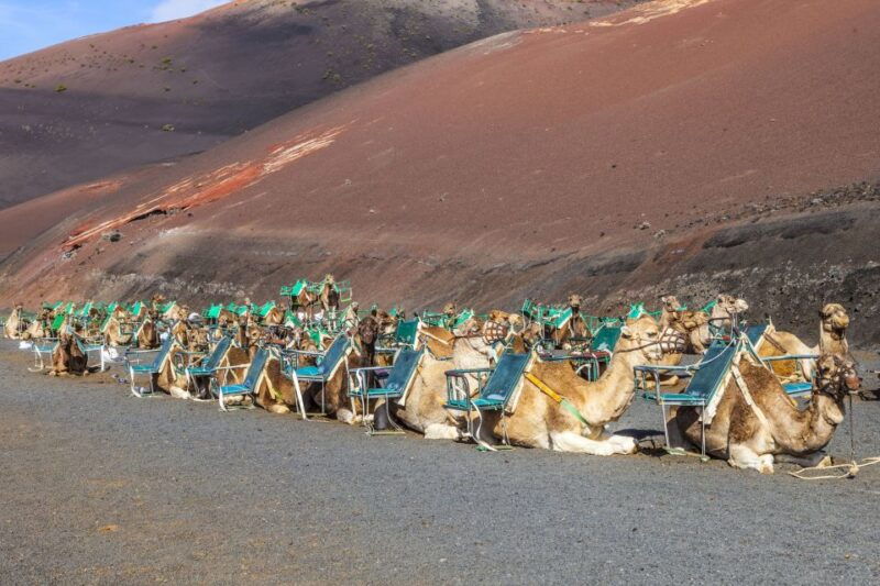 south-tour-timanfaya-national-park
