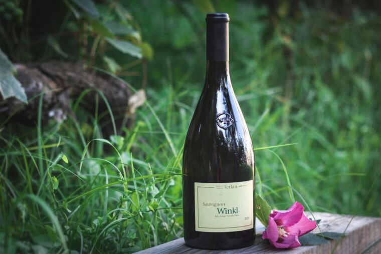 south-tyrolean-specialties-and-wine-tasting