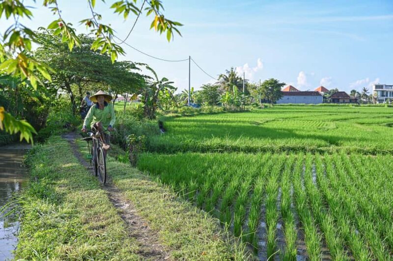 South Ubud: Electric Mountain Bike Tour - Heart of the Rice Fields - Half Day (Private) - Overview of the Experience